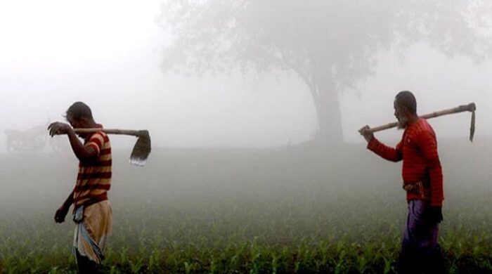 শৈত্যপ্রবাহ কবে থেকে, জানাল আবহাওয়া অফিস!